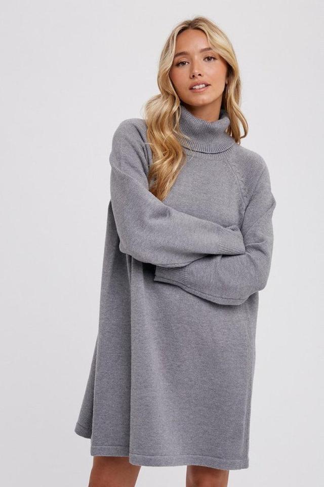 Gwen Sweater Dress Product Image