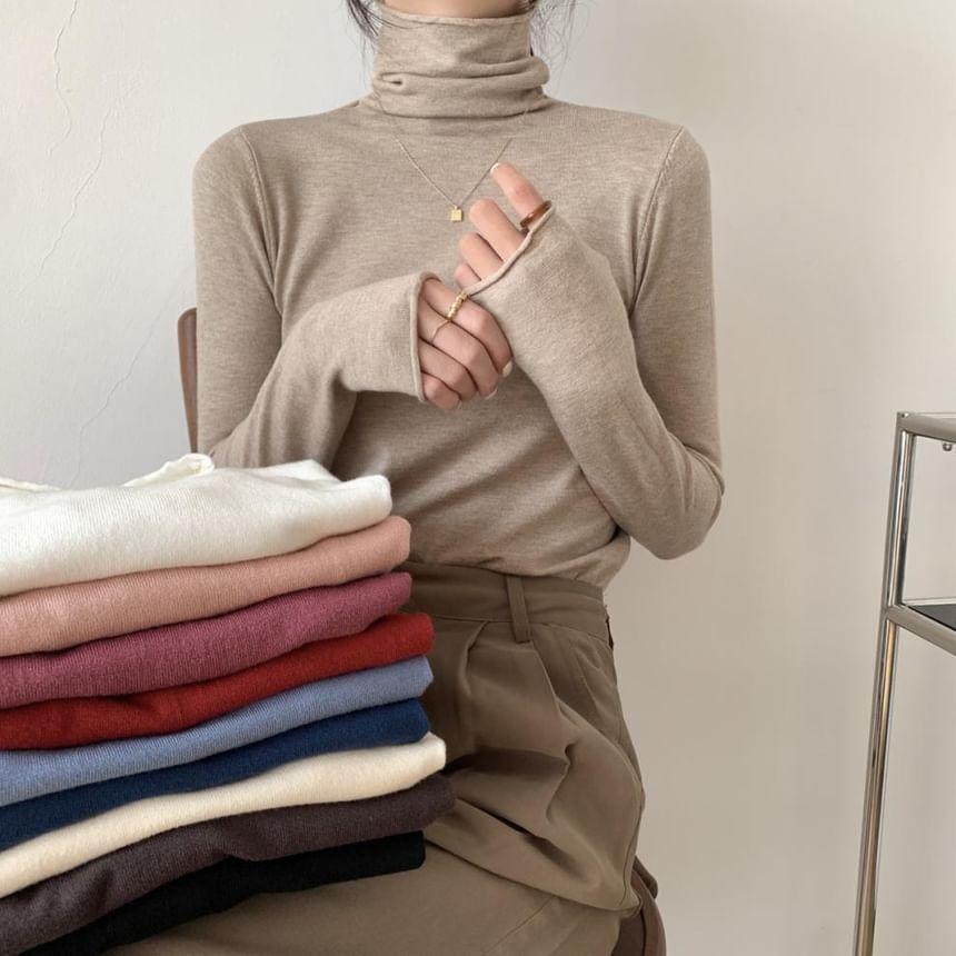 Long-Sleeve Turtleneck Plain Knit Top Product Image