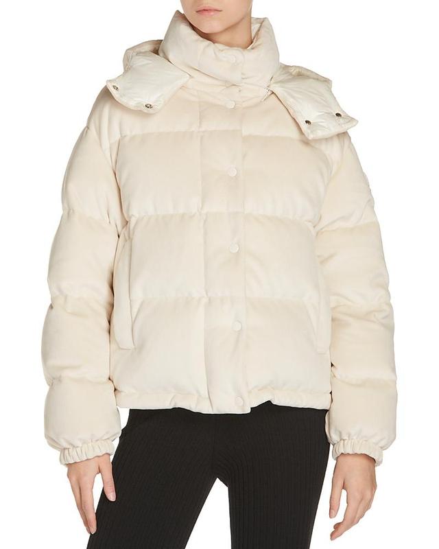 Moncler Daos Quilted Down Jacket Product Image