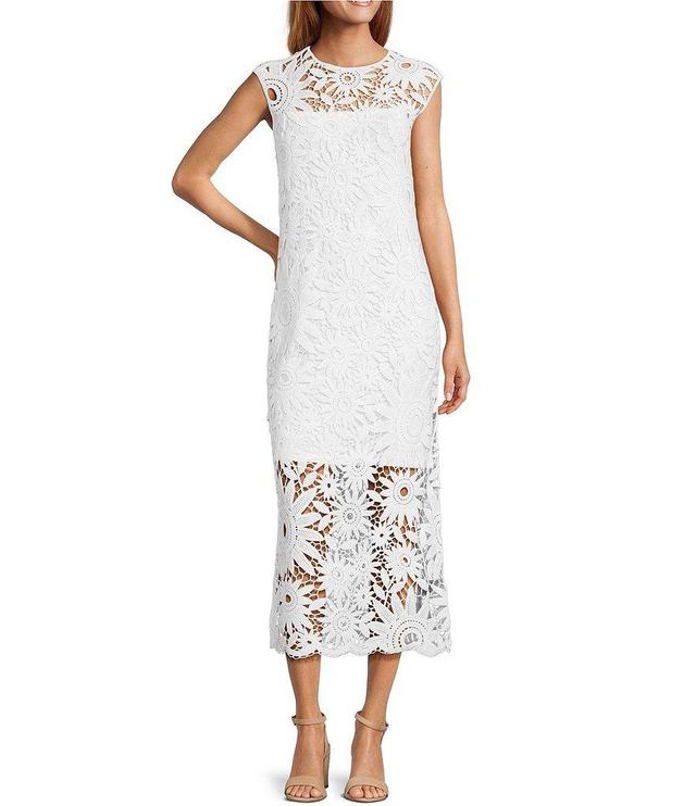 Ted Baker London Corha Crochet Round Neck Cap Sleeve Midi Sheath Dress Product Image