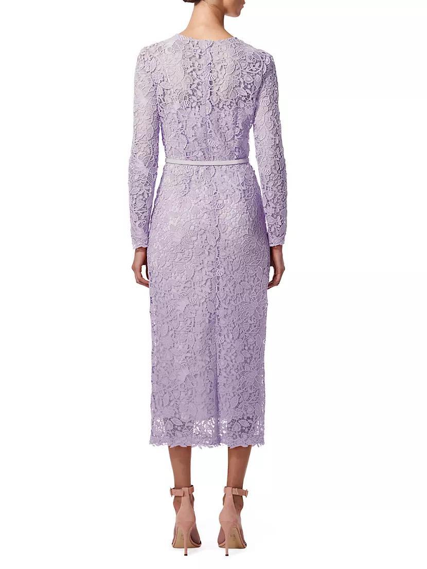 Lace Crewneck Belted Midi-Dress Product Image