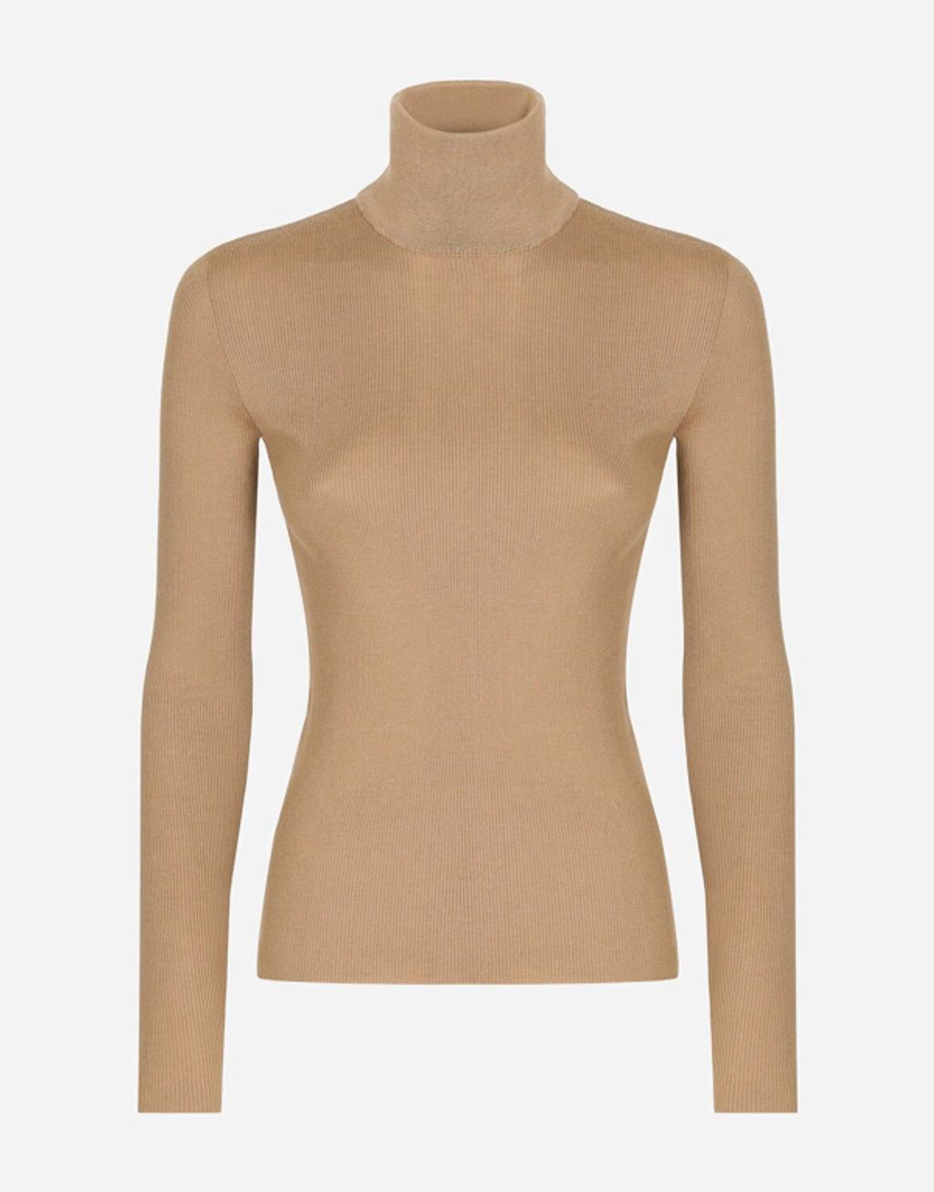 Cashmere Turtle-neck Sweater In Beige Product Image