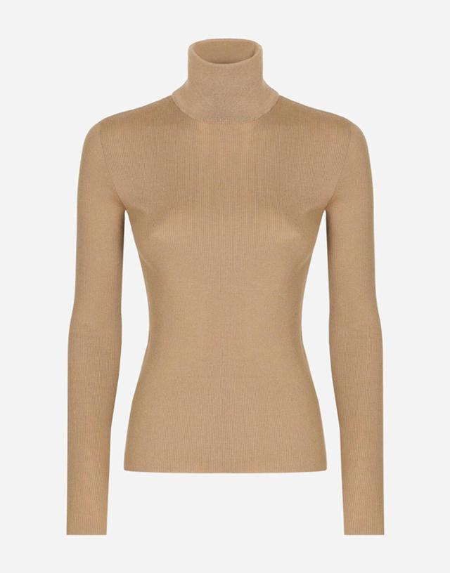 Cashmere Turtle-neck Sweater In Beige Product Image