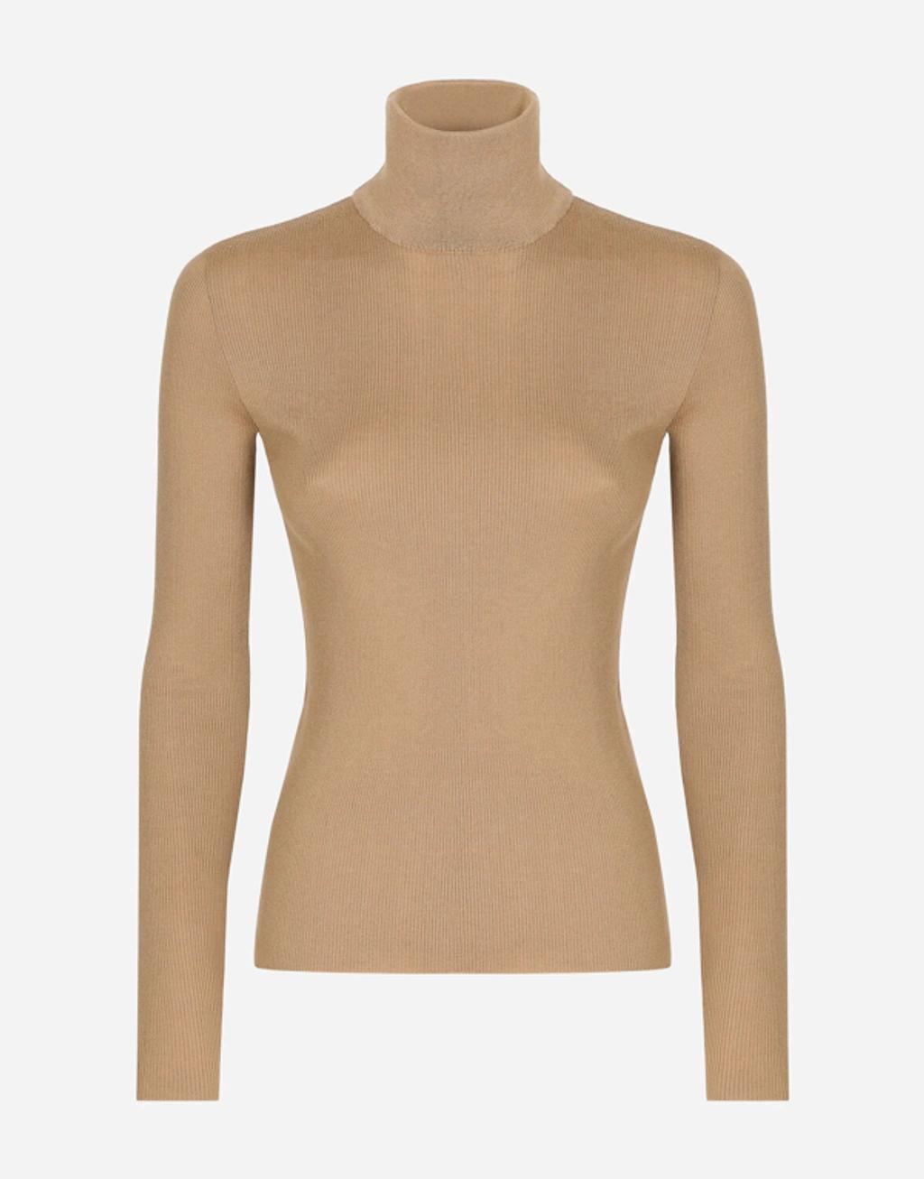 Cashmere Turtle-neck Sweater In Beige Product Image