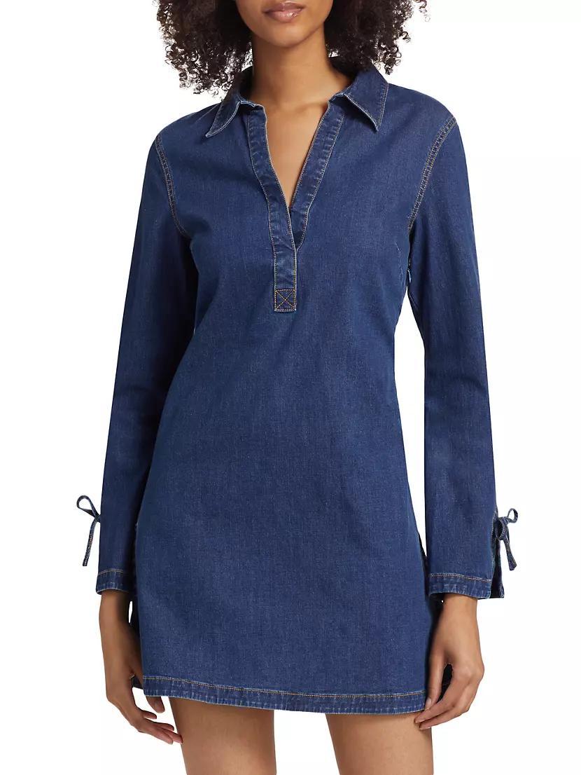 Aster Denim Minidress Product Image