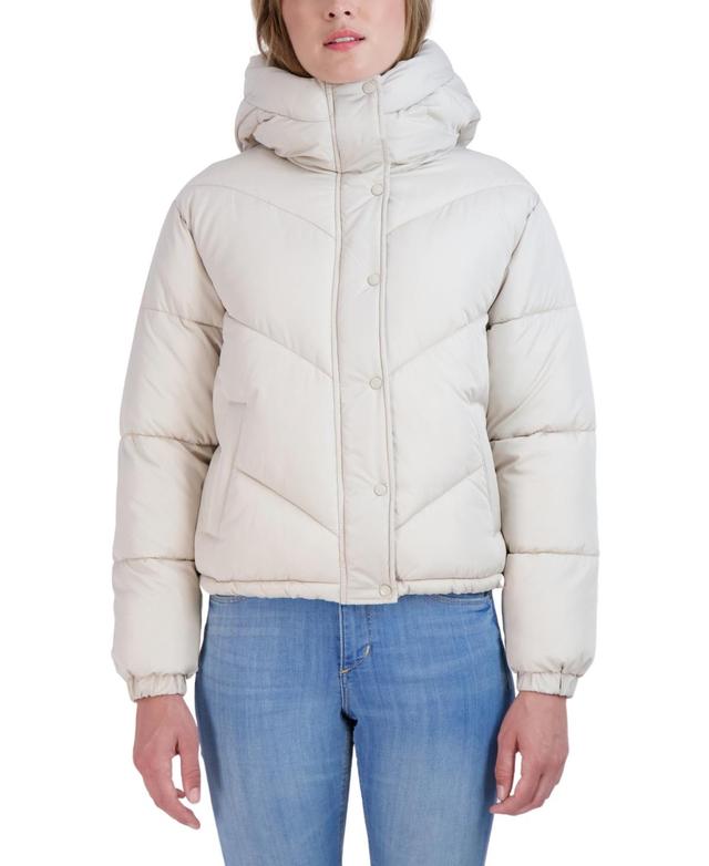 Sebby Juniors Women Short Hooded Puffer Jacket Product Image