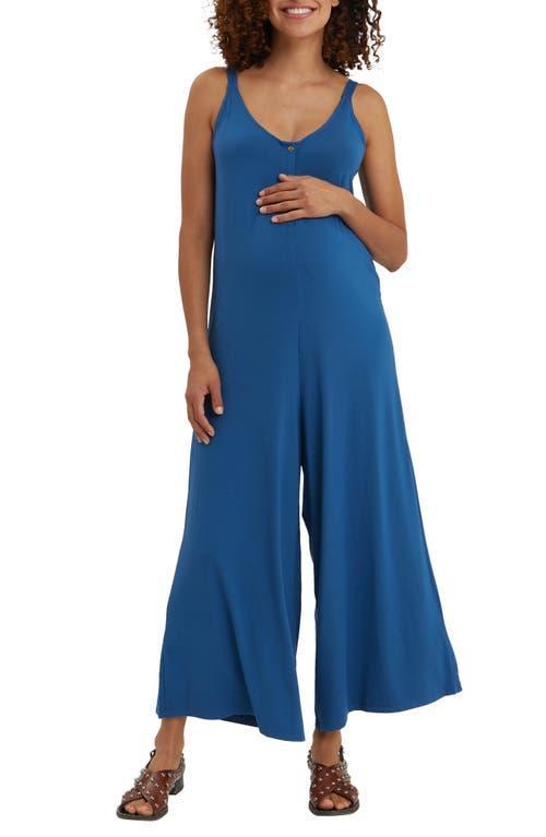 Nom Maternity Chelsea Wide Leg Maternity/Nursing Jumpsuit Product Image