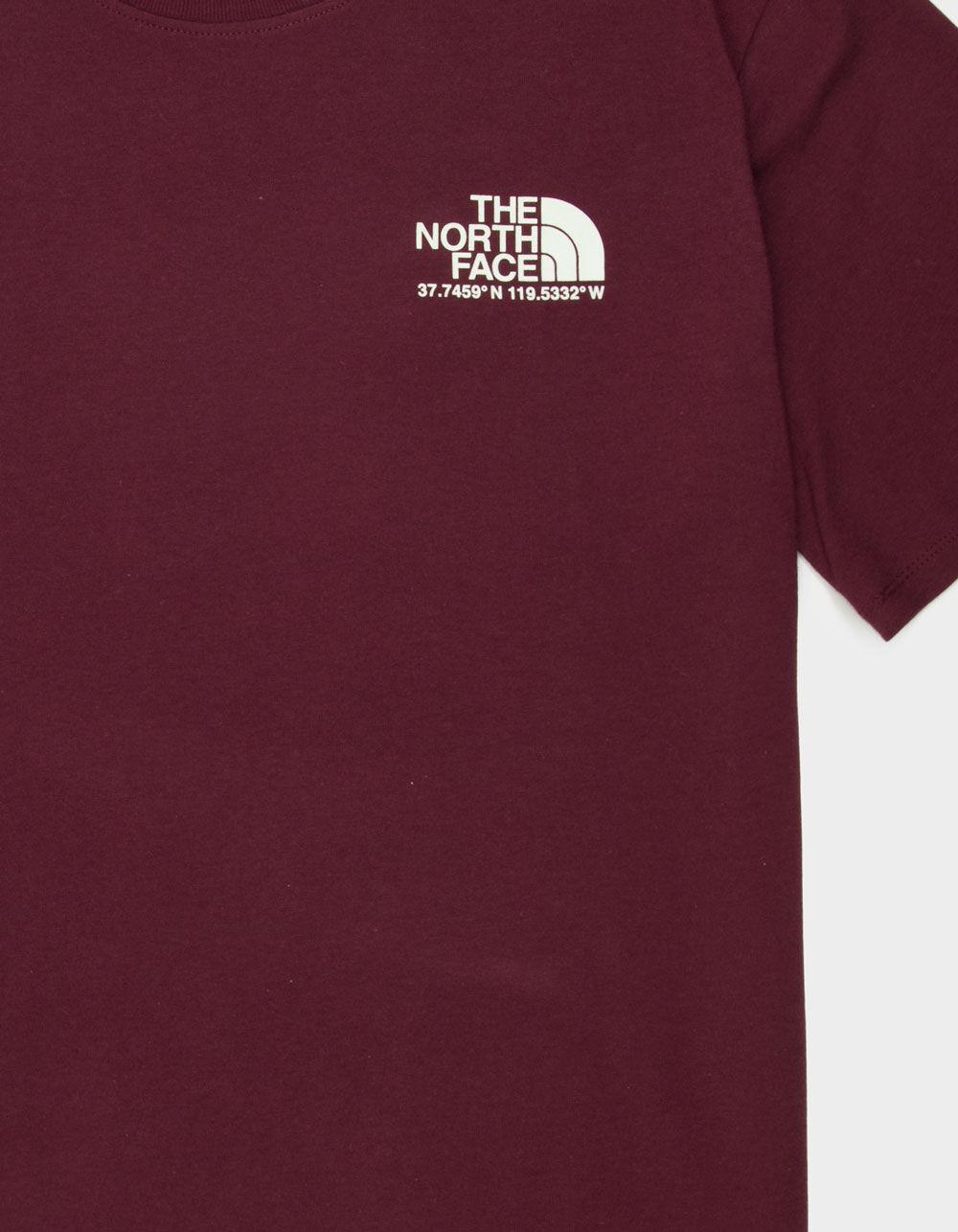 THE NORTH FACE Coordinates Mens Tee Product Image