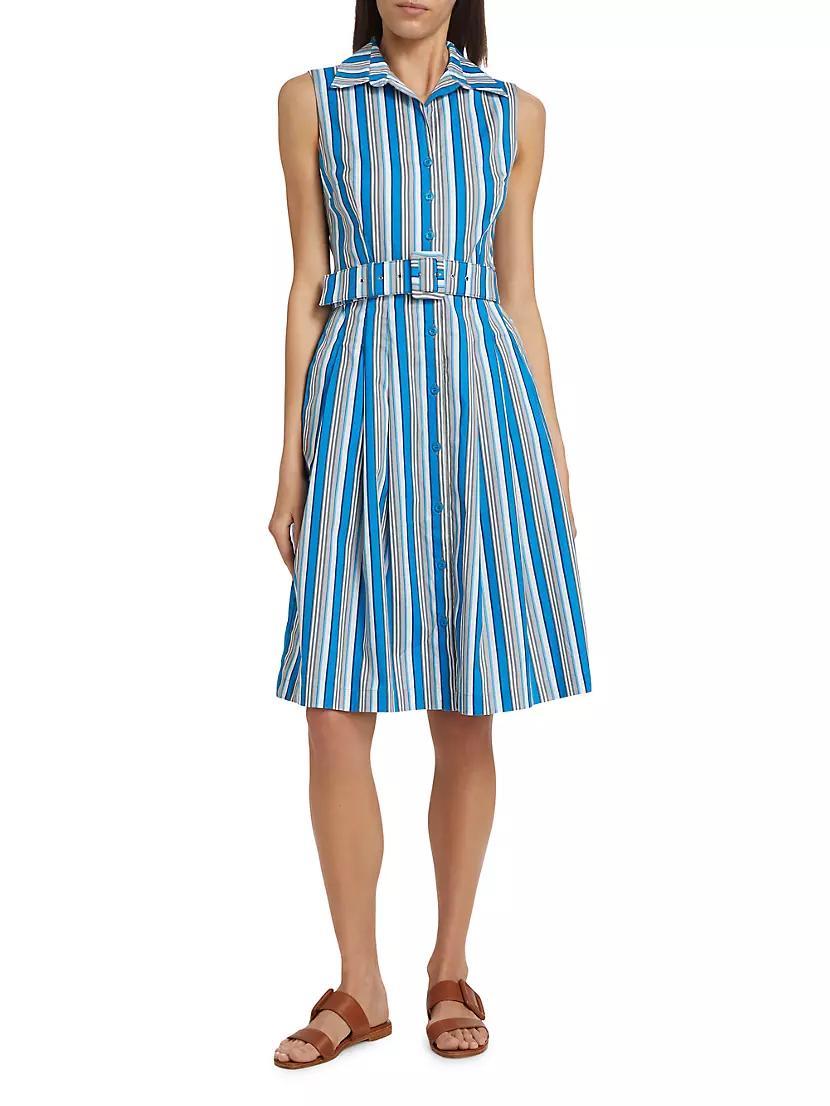 Audrey Terry Stripe Stretch Cotton Shirtdress Product Image