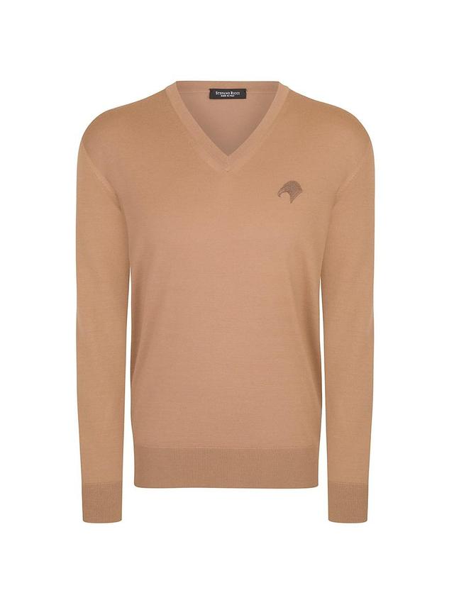 Mens V-Neck Sweater Product Image