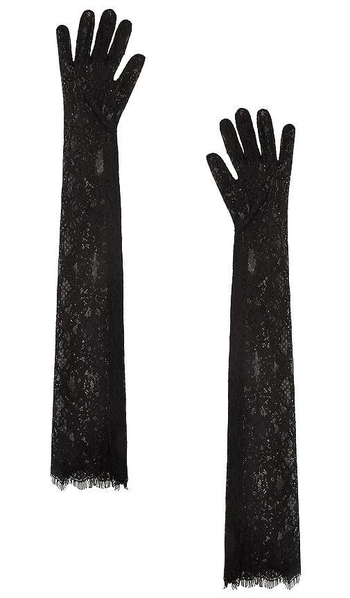 Lace Gloves Product Image