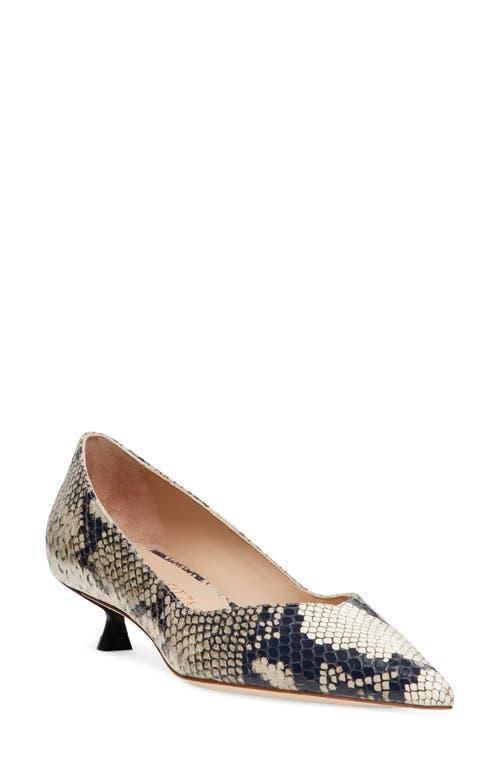 Stuart Weitzman Eva Kitten Heel Pointed Toe Pump Product Image