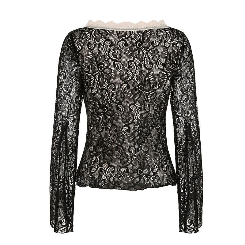 Long Sleeve V-Neck Lace Crop Top Product Image