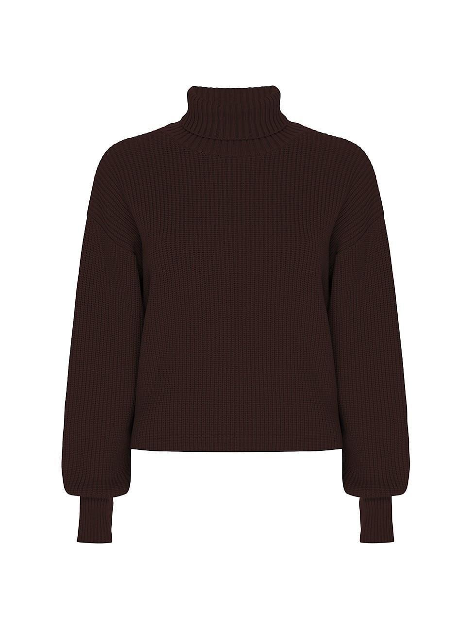 Womens Heavy Cozy Rib-Knit Turtleneck Sweater Product Image