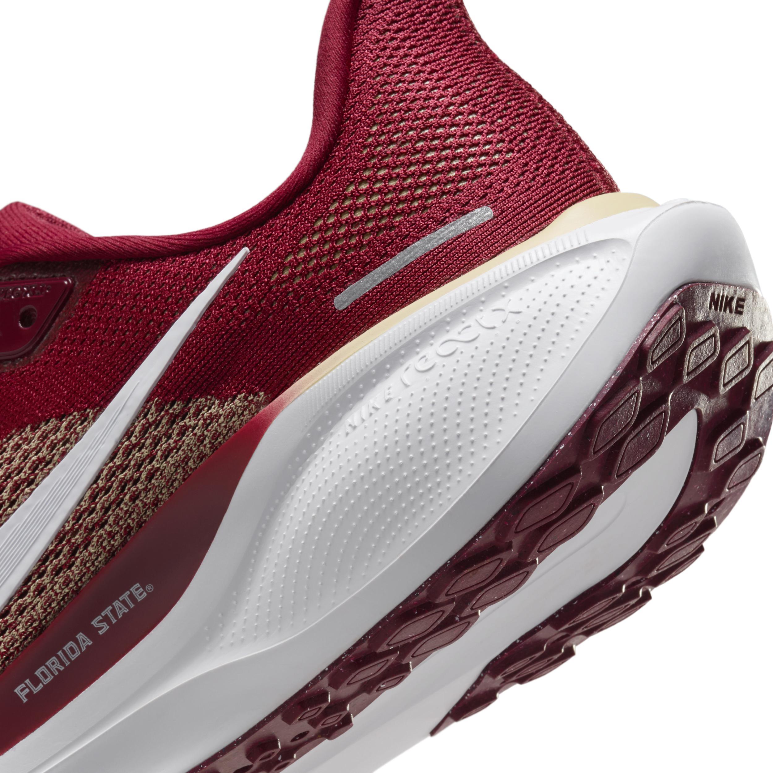 Florida State Pegasus 41 Nike Men's College Road Running Shoes Product Image