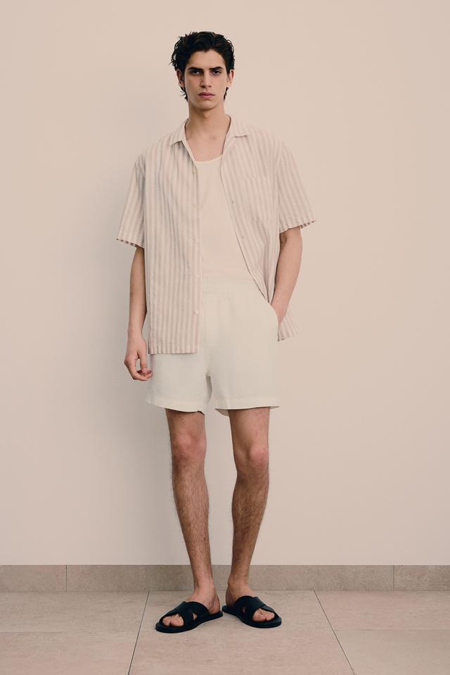 Regular Fit Linen Shorts Product Image