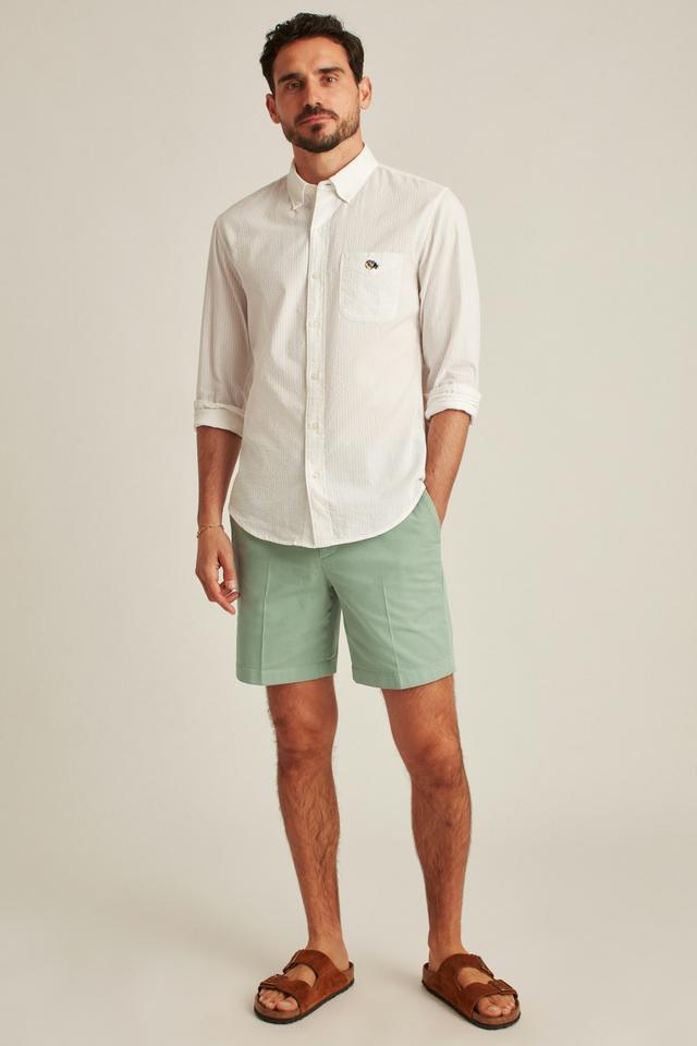 Italian Stretch Chino Shorts Product Image