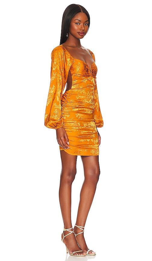 MORE TO COME Briget Ruched Backless Dress in Orange. Product Image