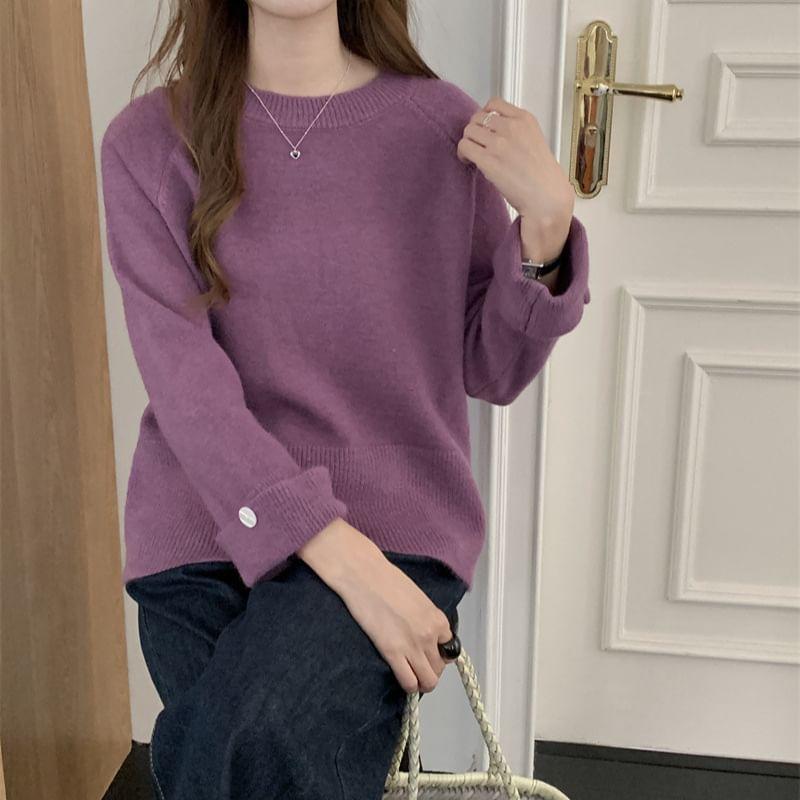 Long-Sleeve Crewneck Plain Knit Top Product Image