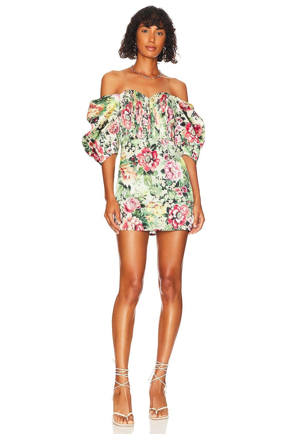 Flora Mini Dress LPA Product Image