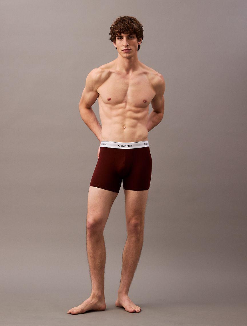 Modern Cotton Stretch 3-Pack Boxer Brief Product Image