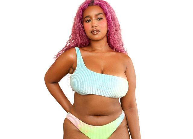 Dippin Daisys Womens Cali Top Product Image