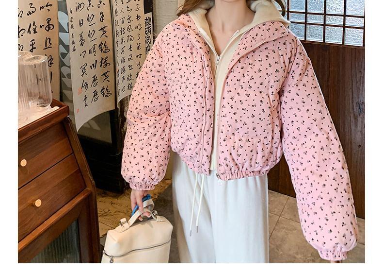 Floral Print Stand Collar Crop Zip Puffer Jacket Product Image