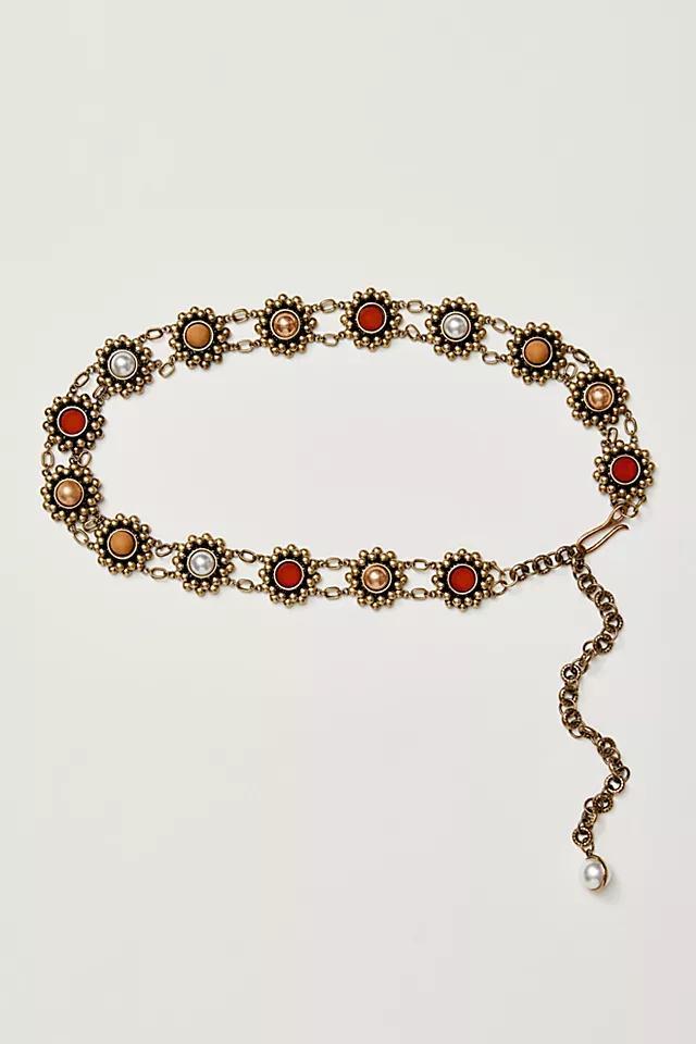 Vintage Bloom Chain Belt Product Image