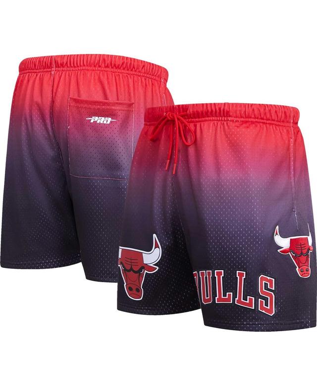 Mens Pro Standard Purple Chicago Bulls Ombre Mesh Shorts - Purple Product Image