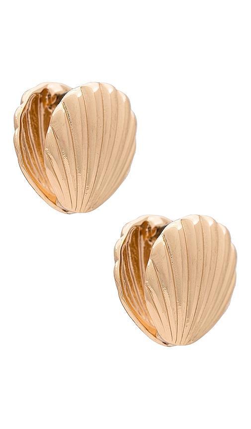 Shell Earring Product Image