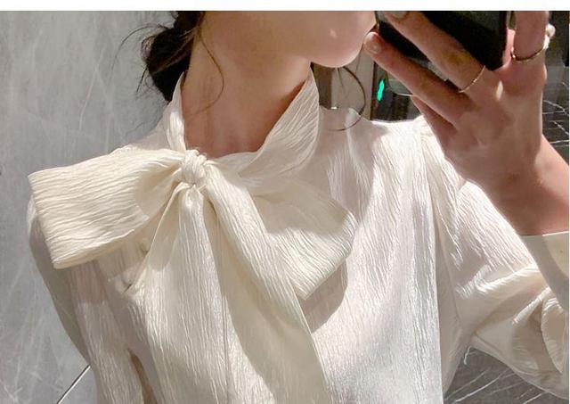 Long-Sleeve Tie-Neck Plain Blouse Product Image