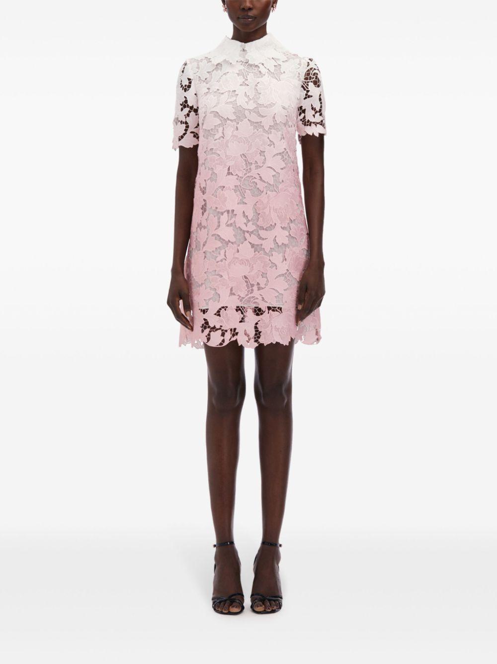 OSCAR DE LA RENTA Ombre Peony Guipure Shift Dress In Soft Pink Product Image