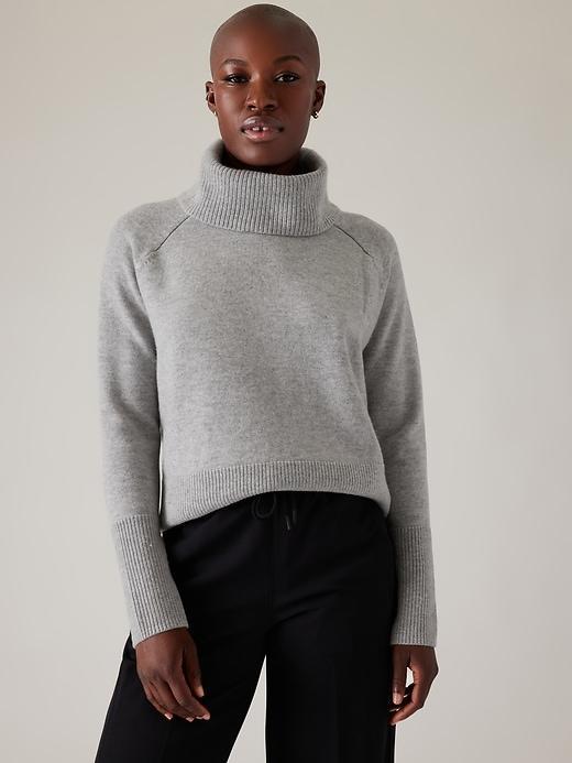 Alpine Turtleneck Sweater Product Image