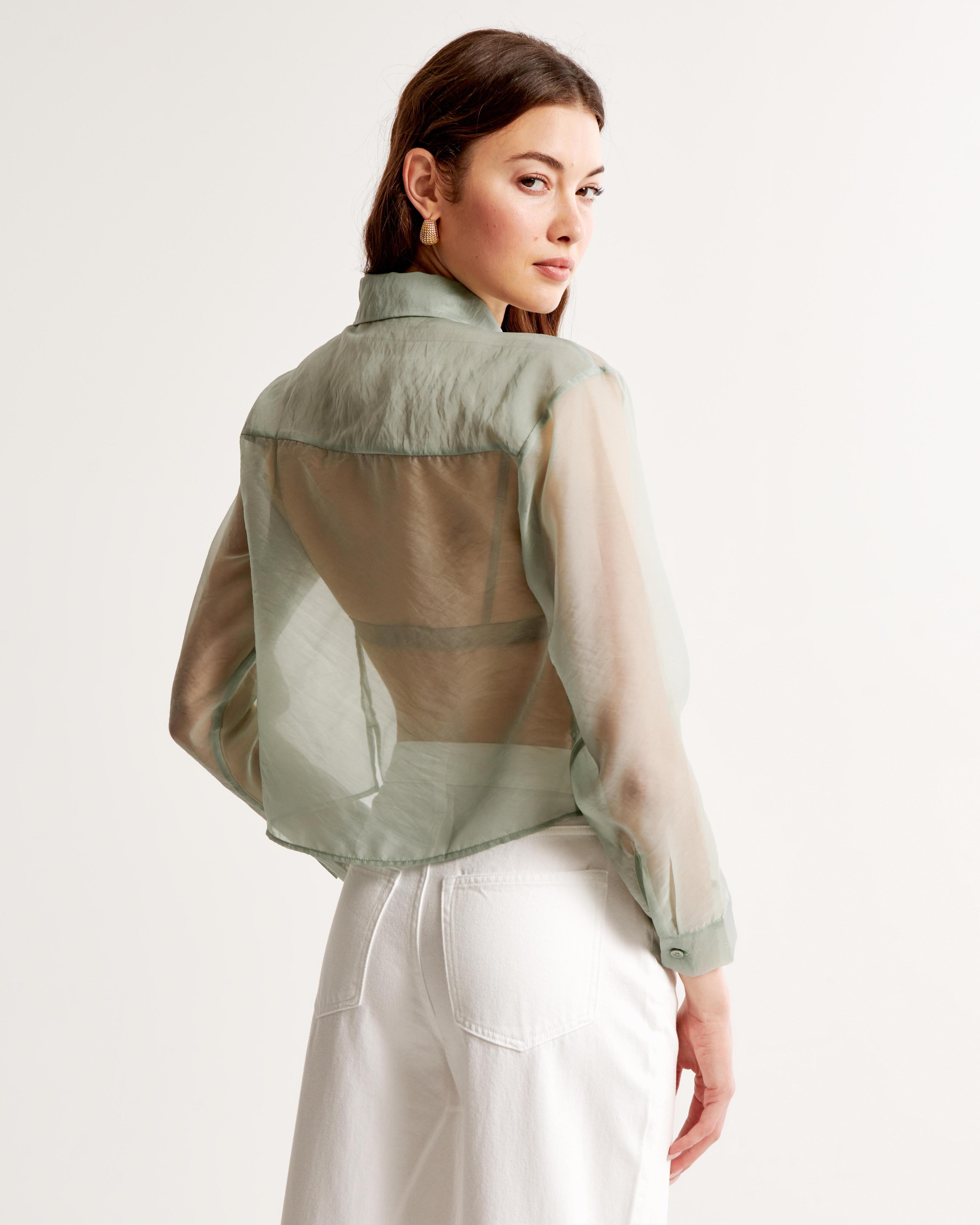 Long-Sleeve Sheer Shirt Product Image