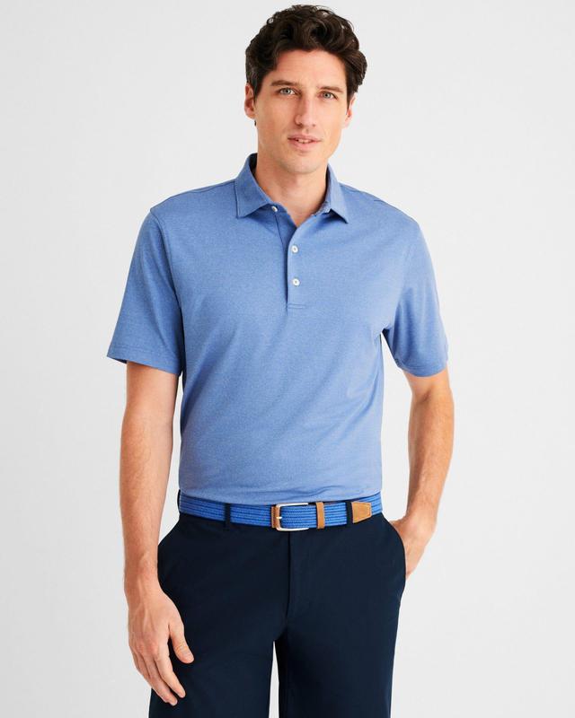 Performance Jersey Polo - Birdie Male Product Image