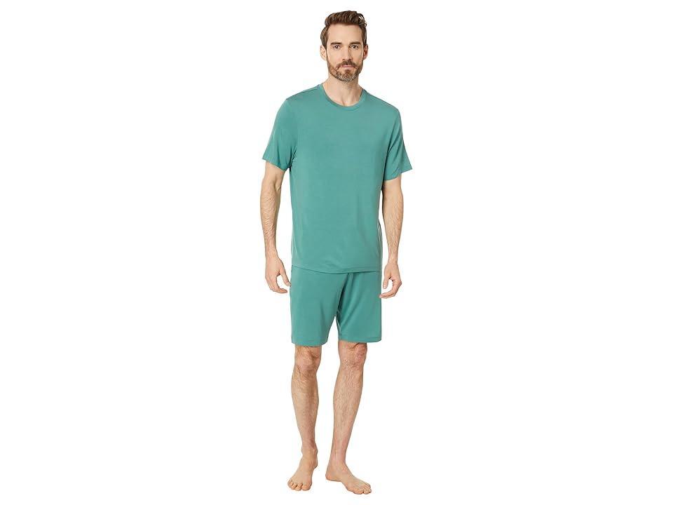 Eberjey Henry Shorts Pj Set (Agave) Men's Pajama Sets Product Image