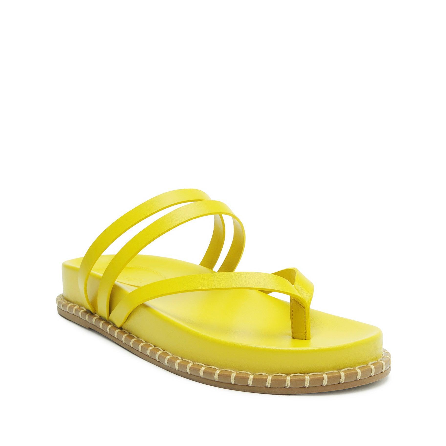 Rania Sporty Leather Sandal Product Image