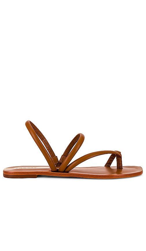 Aztec Strappy Naked Sandal Product Image