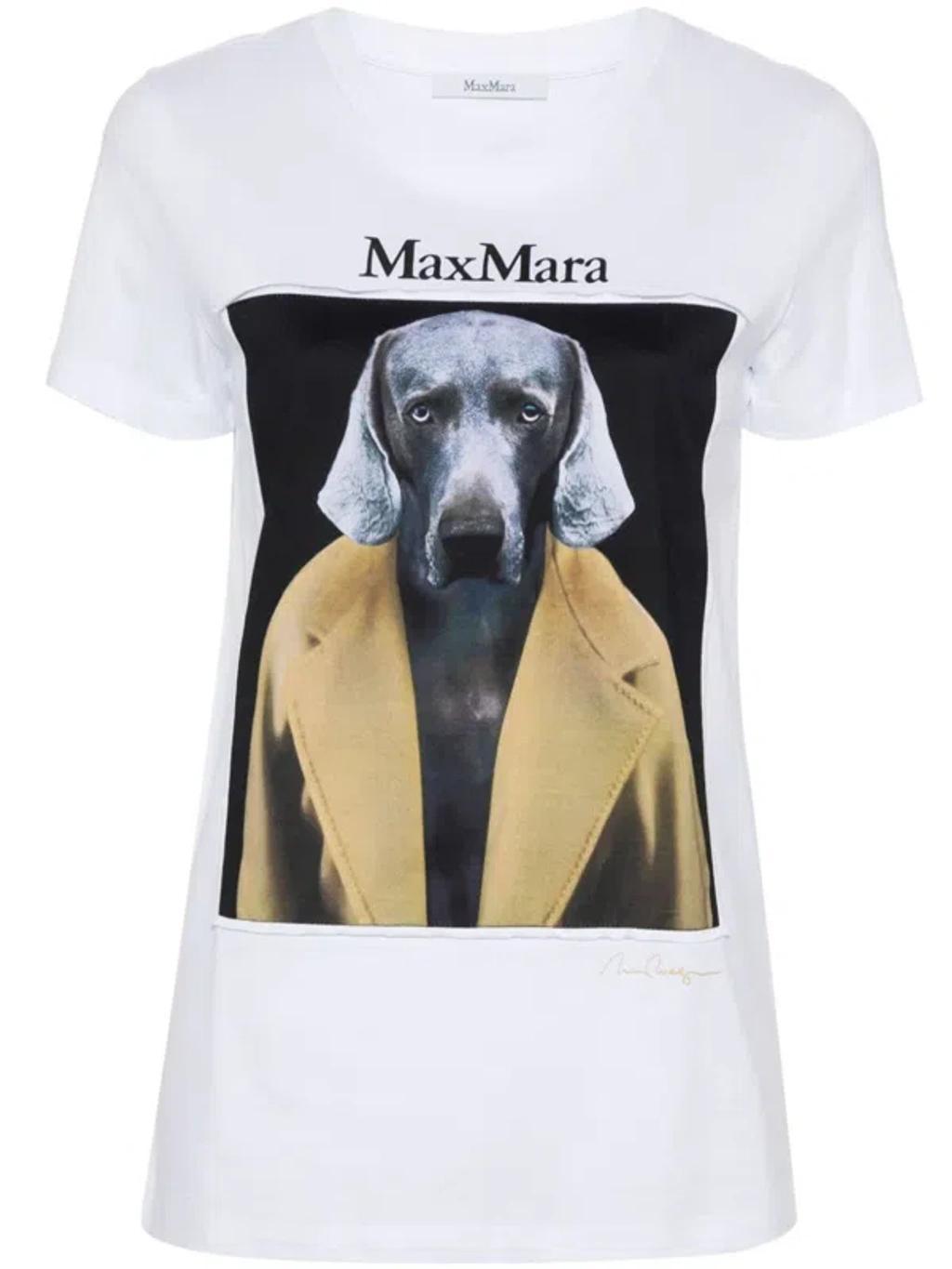 MAX MARA Printed Cotton T-shirt In Brown Product Image