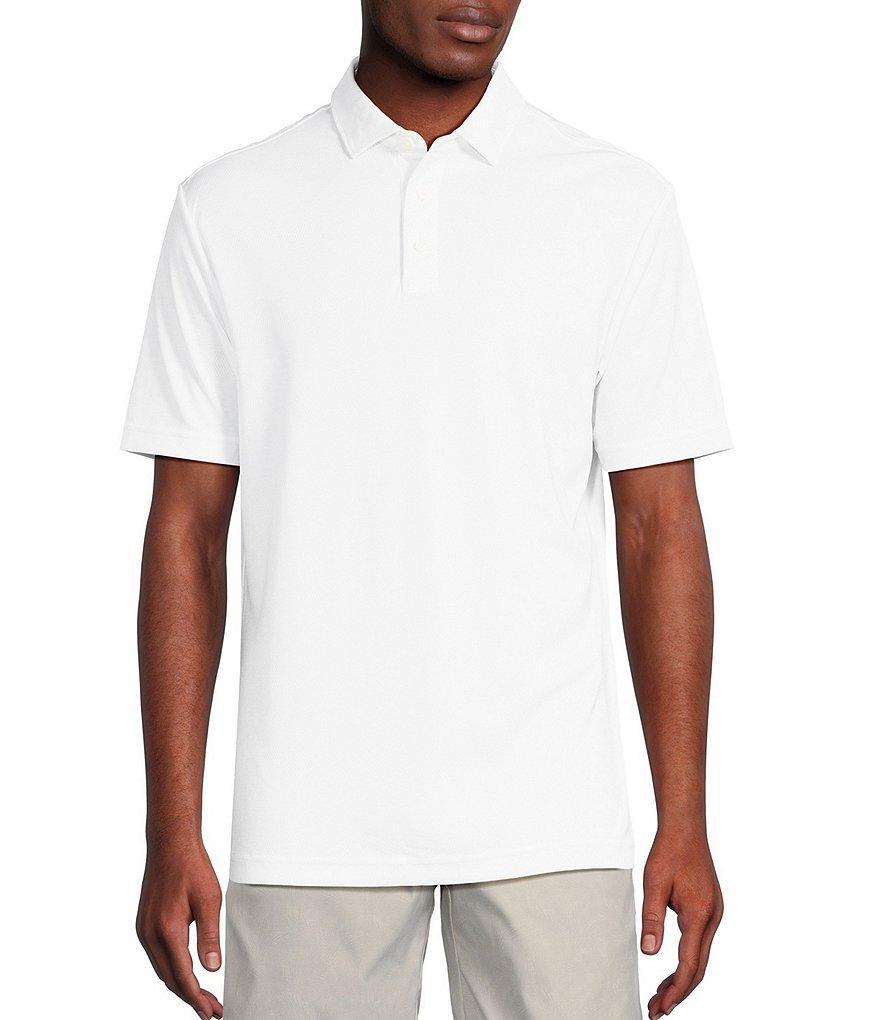 Cremieux Blue Label Performance Big & Tall Stretch Striped Short Sleeve Polo Shirt Product Image