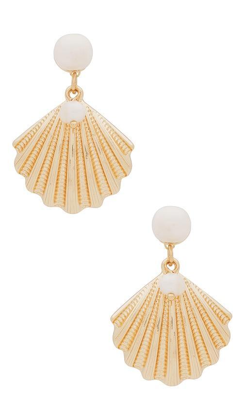 Shell Earring Product Image