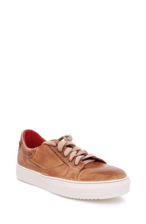 Bed Stu Azeli Leather Sneaker Product Image