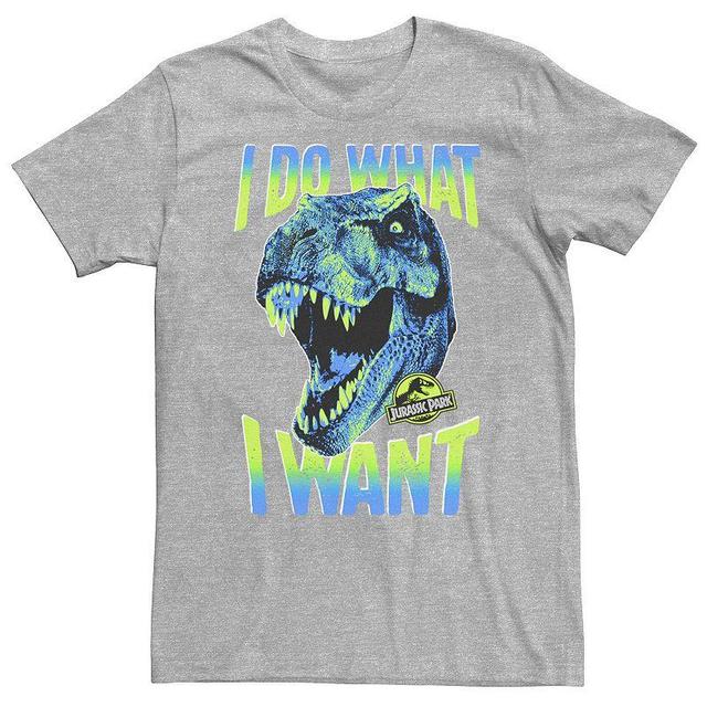 Big & Tall Jurassic Park T-Rex I Do What I Want Tee, Mens Navy Grey Product Image