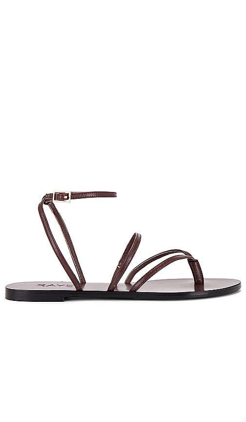 RAYE Void Sandal in Metallic Gold. - size 10 (also in 5.5, 6.5, 7.5) Product Image