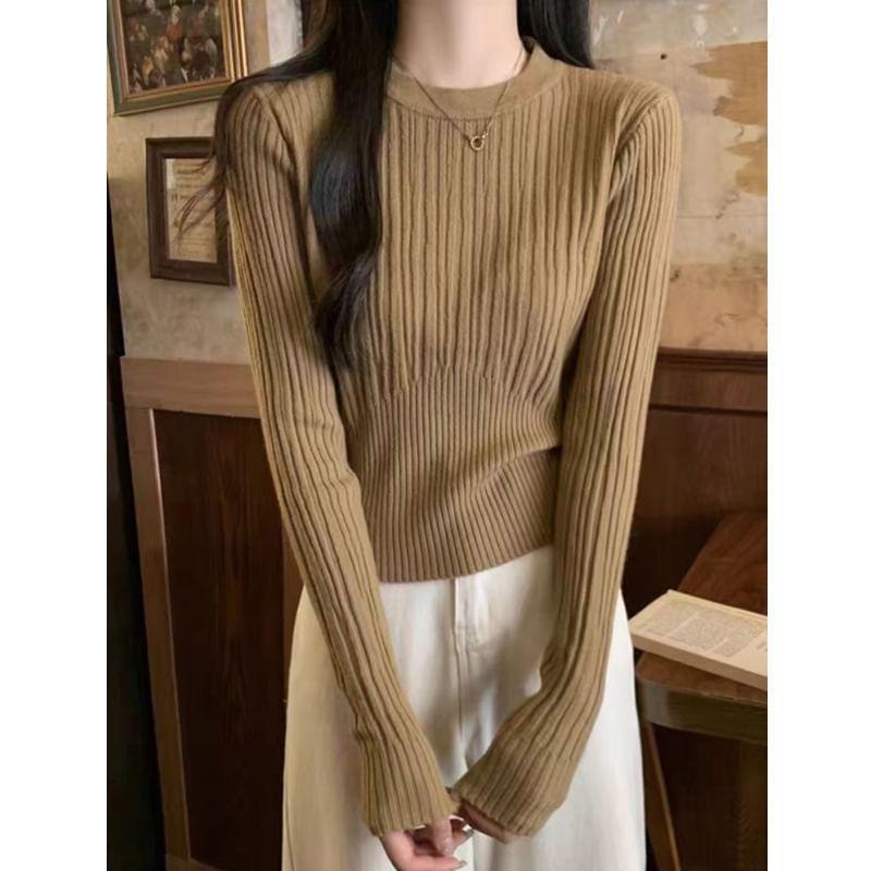 Long-Sleeve Round Neck Plain Ribbed Knit Top Product Image