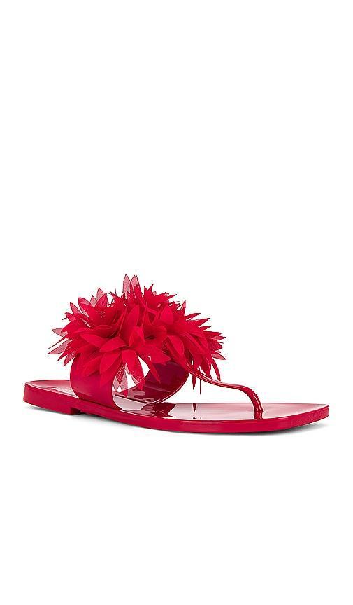 Jeffrey Campbell Pollinate Sandal in Red. - size 9 (also in 6, 7, 8) Product Image