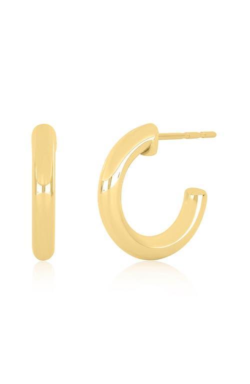 EF Collection Sasha Hoop Earrings Product Image