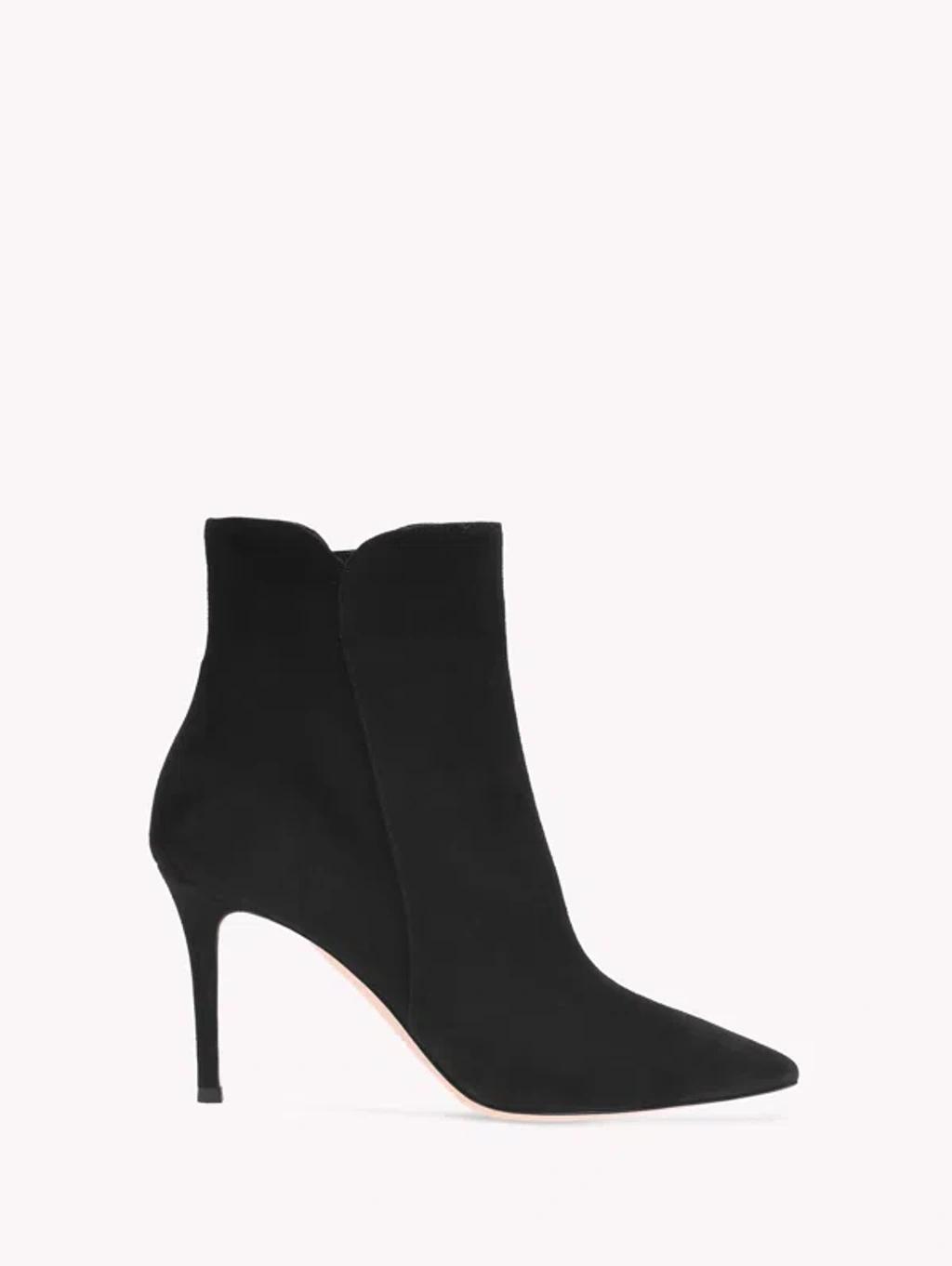 GIANVITO ROSSI Levy 85 Suede Ankle Boots In Black Suede product image