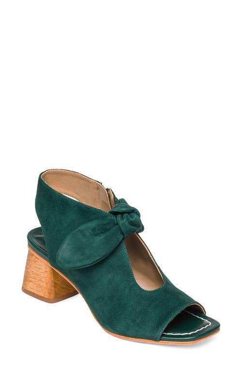 Bernardo Lizzie Suede) Women's Shoes Product Image