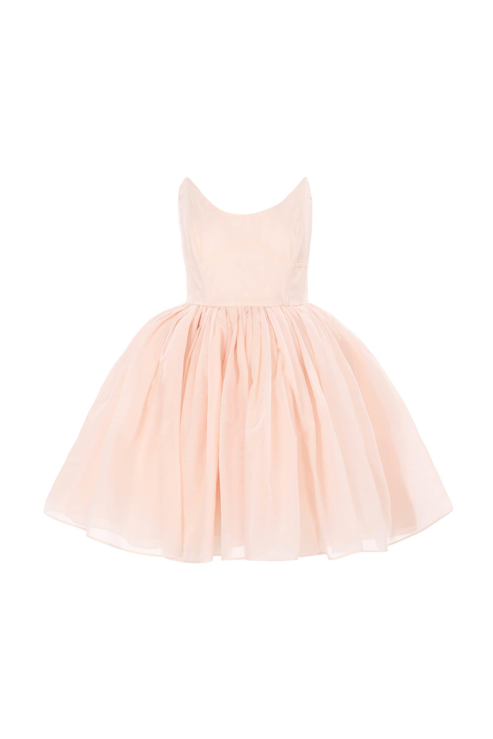 The Blush Veuve Dress Product Image